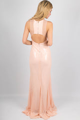 Pink Sequin And Mesh Maxi Dress