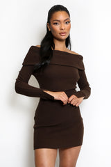 Bardot Long sleeve Knit Mini Dress in Brown