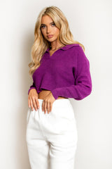 Plum Knitted Cropped Collared Jumper