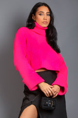 Fuchsia Ribbed Knitted Roll Neck Jumper
